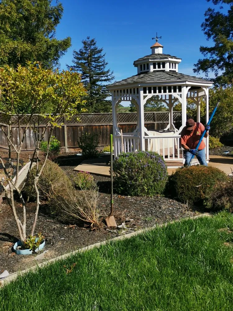 Top-rated landscape design in Benicia, CA by Delta Landscaping