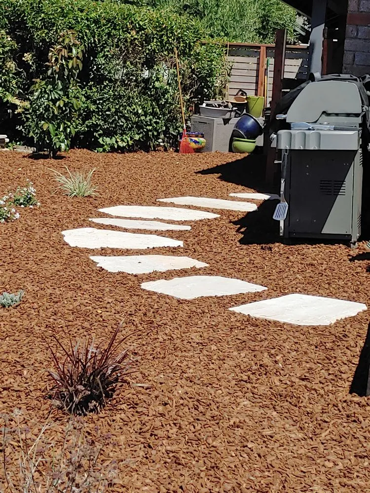 Custom yard maintenance for residential properties in Benicia, CA by Delta Landscaping