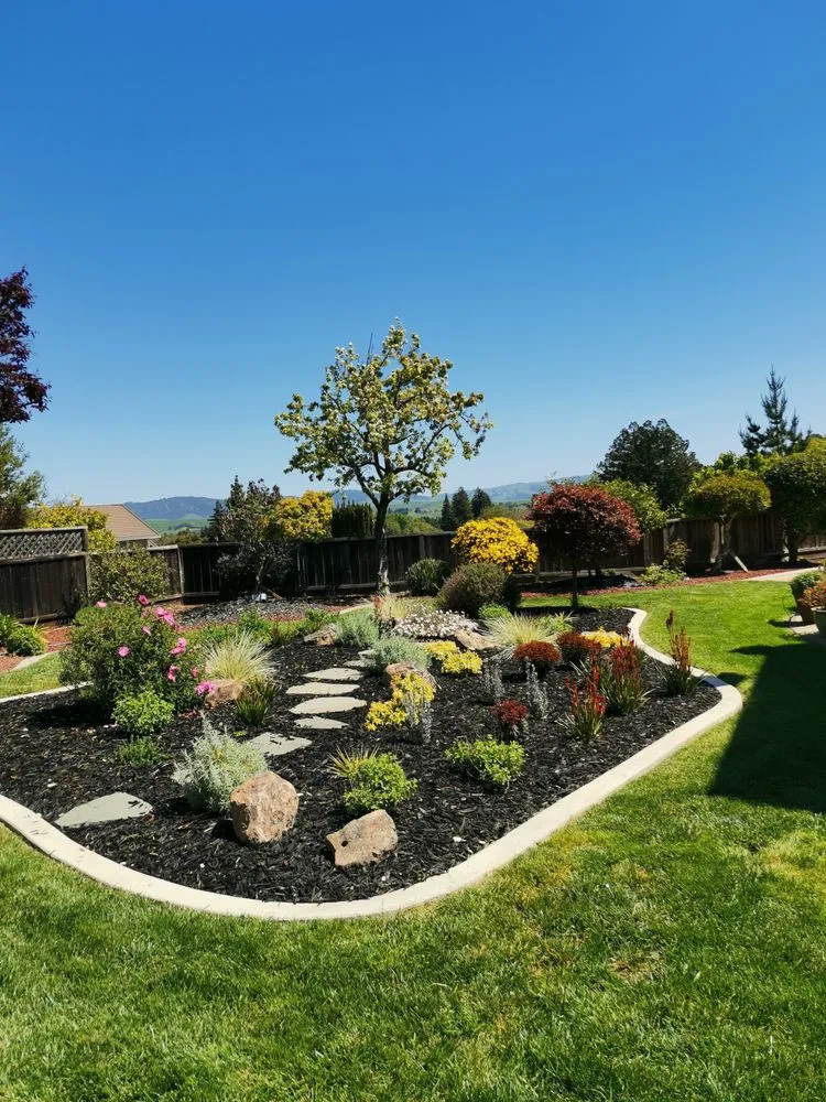 Custom yard cleanup service experts serving Benicia, CA - Delta Landscaping
