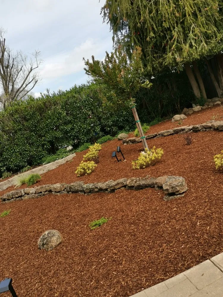 Expert yard maintenance for outdoor upgrades across Benicia, CA - Delta Landscaping