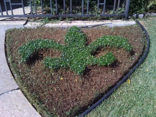 Delta Lawn Care Logo