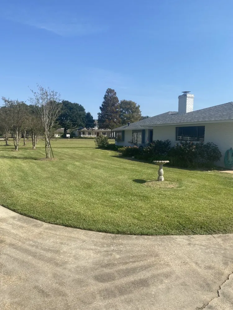 Local outdoor landscaping in Pineville, LA - Delta Lawn Clippers