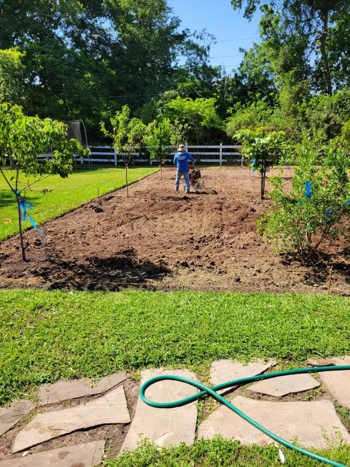 Professional yard cleanup service for residential properties in Houston, TX by Delta Lawn Service