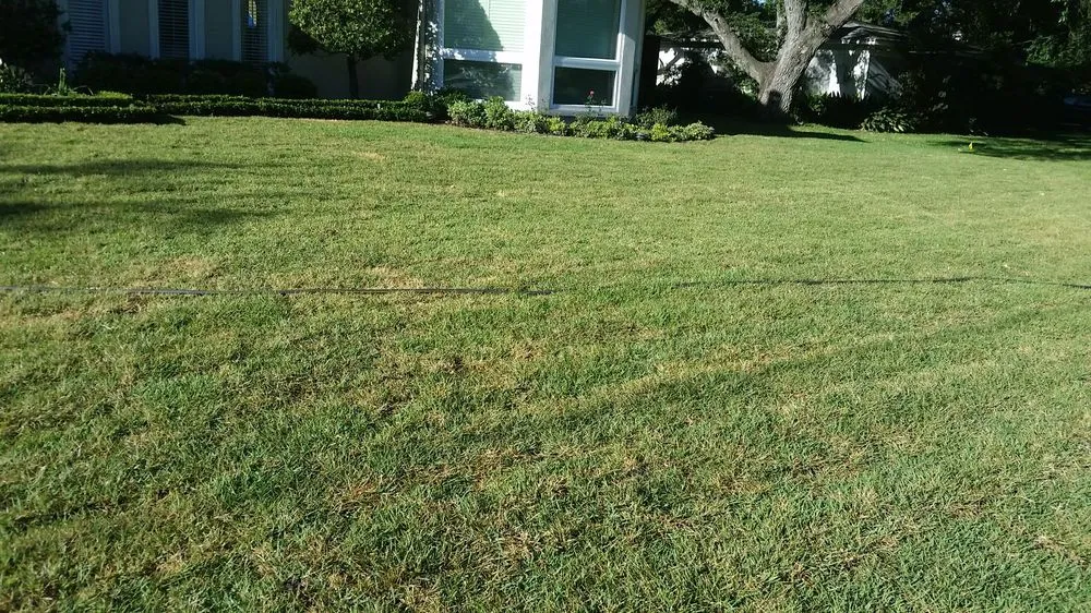 Affordable garden landscaping experts serving Houston, TX - Delta Lawn Service