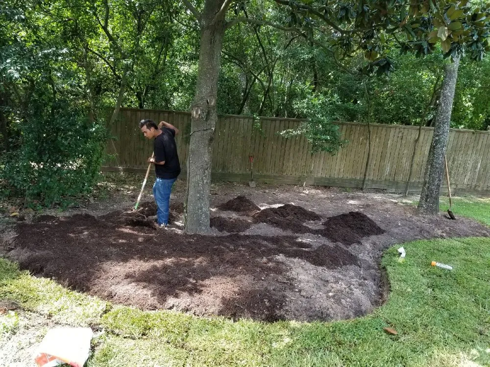 Local landscape design near you across Houston, TX - Delta Lawn Service