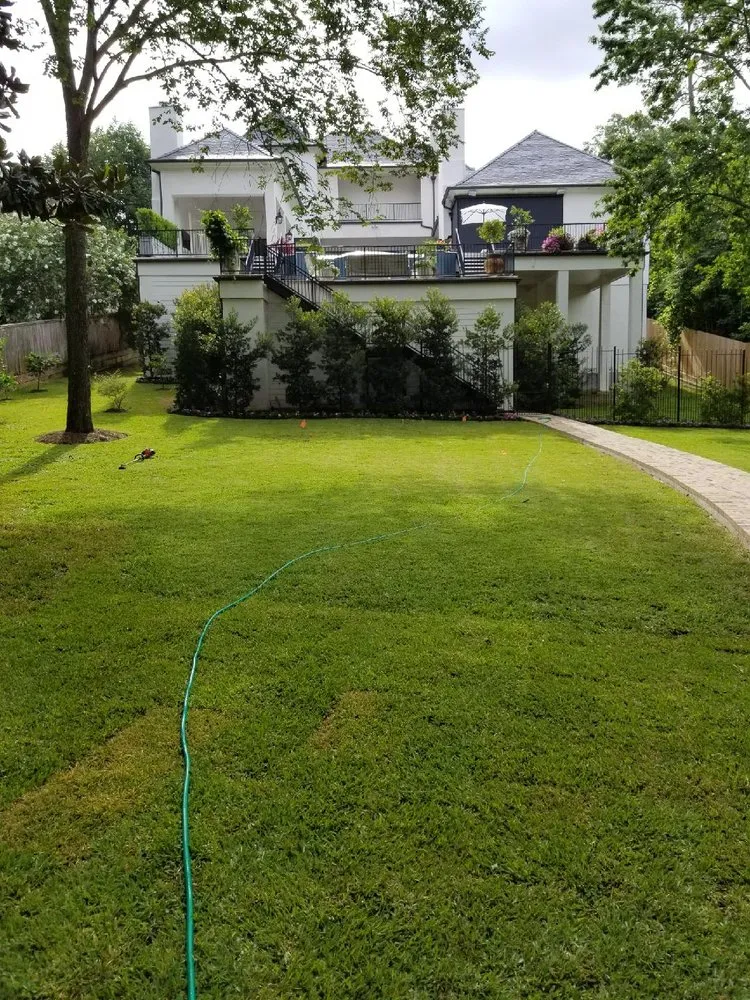 Expert yard cleanup service with custom design across Houston, TX - Delta Lawn Service