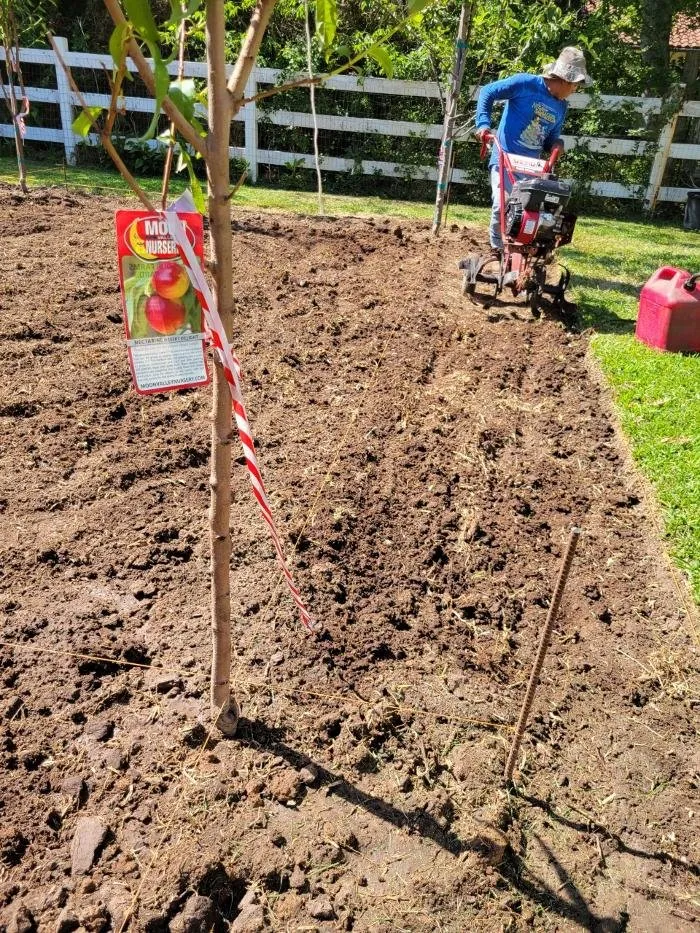 Local lawn mowing service experts serving Houston, TX - Delta Lawn Service