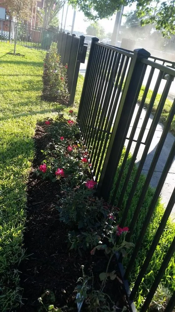 Professional landscaping services experts serving Houston, TX - Delta Lawn Service