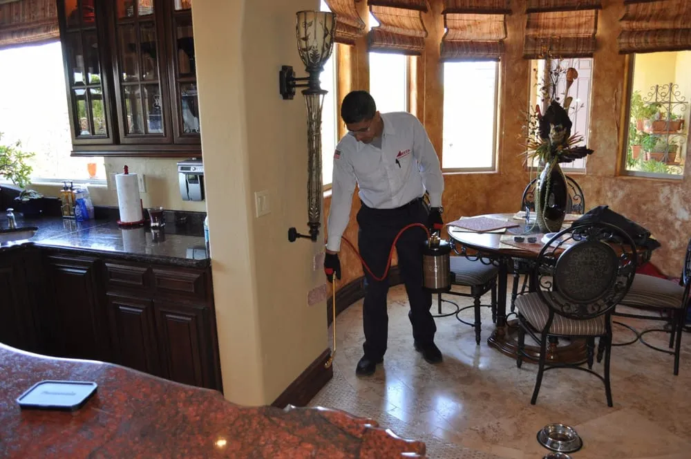 Custom landscape design in El Paso, TX - Delta Pest Control & Lawn Service