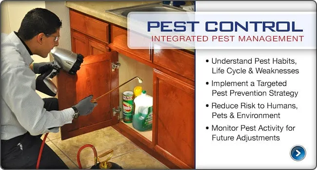 Professional lawn mowing service in El Paso, TX - Delta Pest Control & Lawn Service