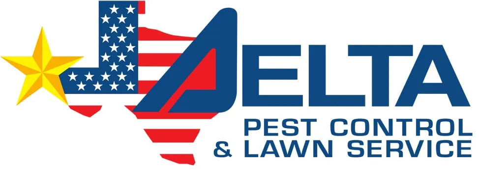 Top-rated yard cleanup service near you in El Paso, TX by Delta Pest Control & Lawn Service