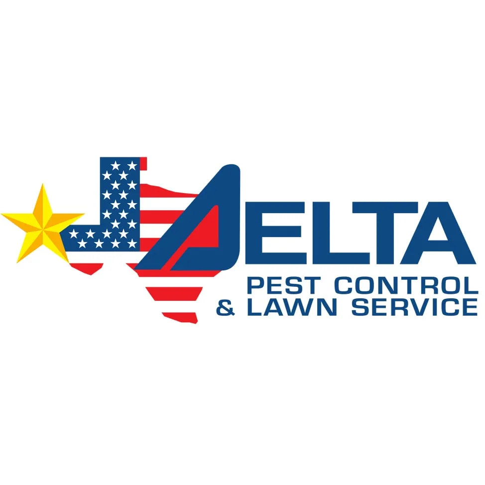 Custom yard maintenance for year-round maintenance in El Paso, TX by Delta Pest Control & Lawn Service