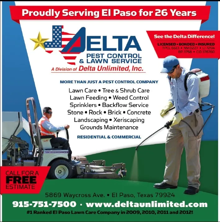 Professional landscape installation in El Paso, TX - Delta Pest Control & Lawn Service