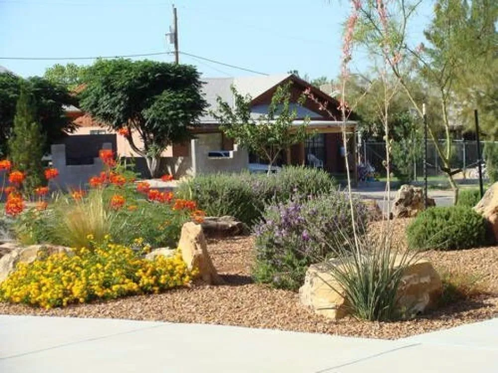 Professional landscape design in El Paso, TX by Delta Pest Control & Lawn Service