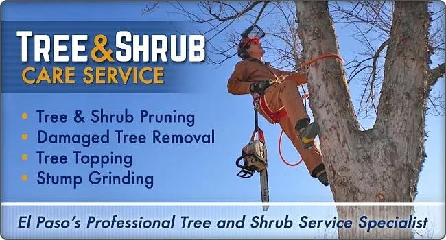 Reliable garden landscaping for homes in El Paso, TX by Delta Pest Control & Lawn Service