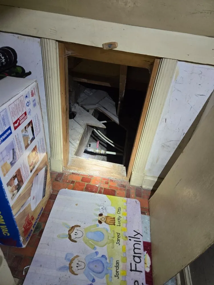 Expert lawn care service for beautiful yards across Ogden, UT - Delta Pest Control