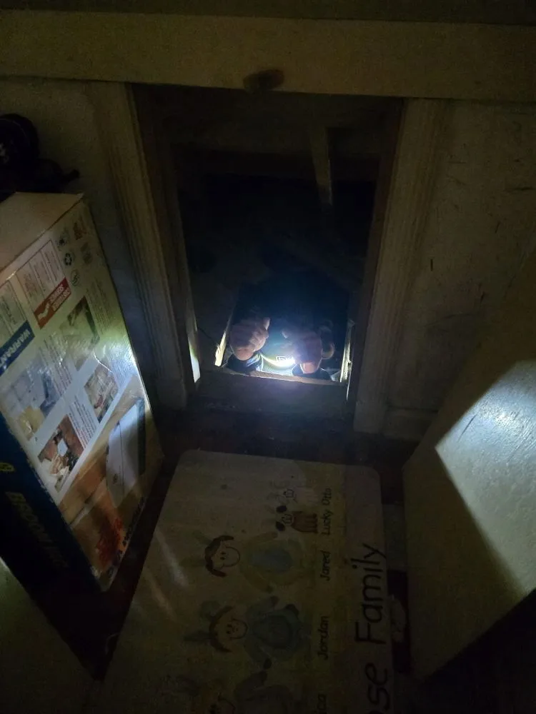 Reliable outdoor landscaping in Ogden, UT by Delta Pest Control