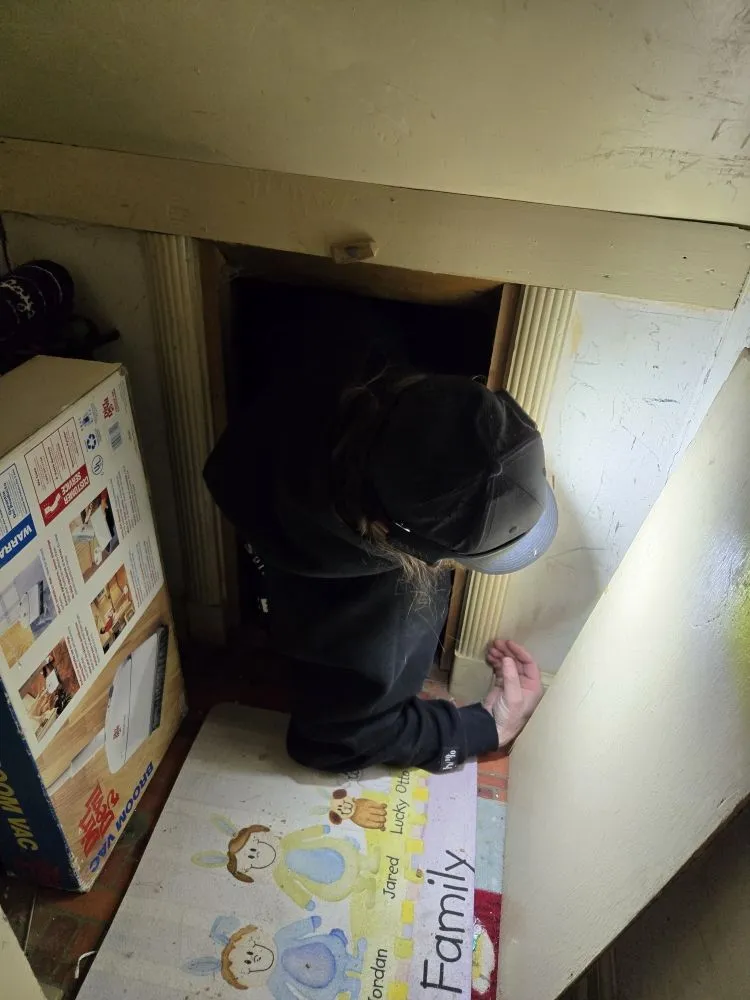 Trusted lawn mowing service in Ogden, UT - Delta Pest Control