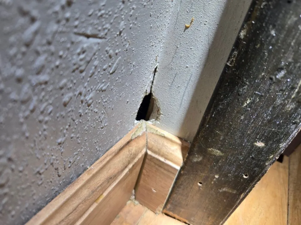 Trusted lawn mowing service in Ogden, UT by Delta Pest Control