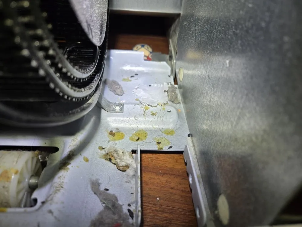 Trusted landscape design in Ogden, UT - Delta Pest Control