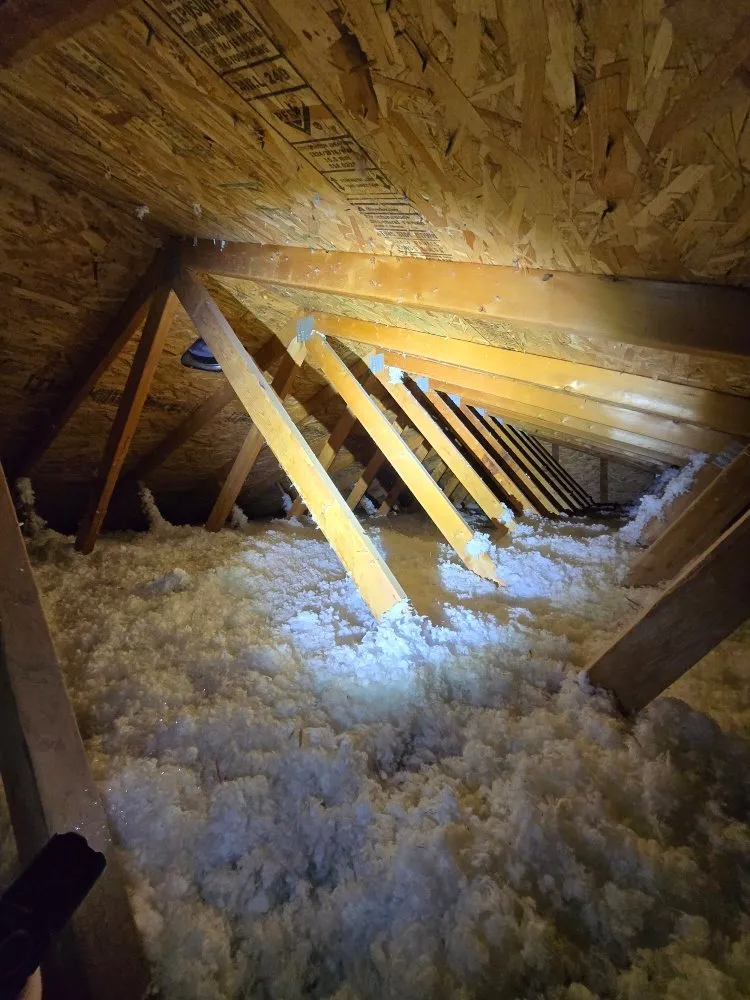 Professional residential landscaping in Ogden, UT by Delta Pest Control