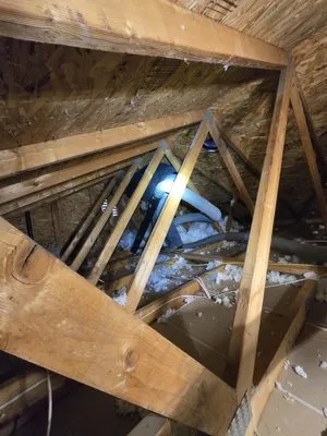 Delta Pest Control Logo