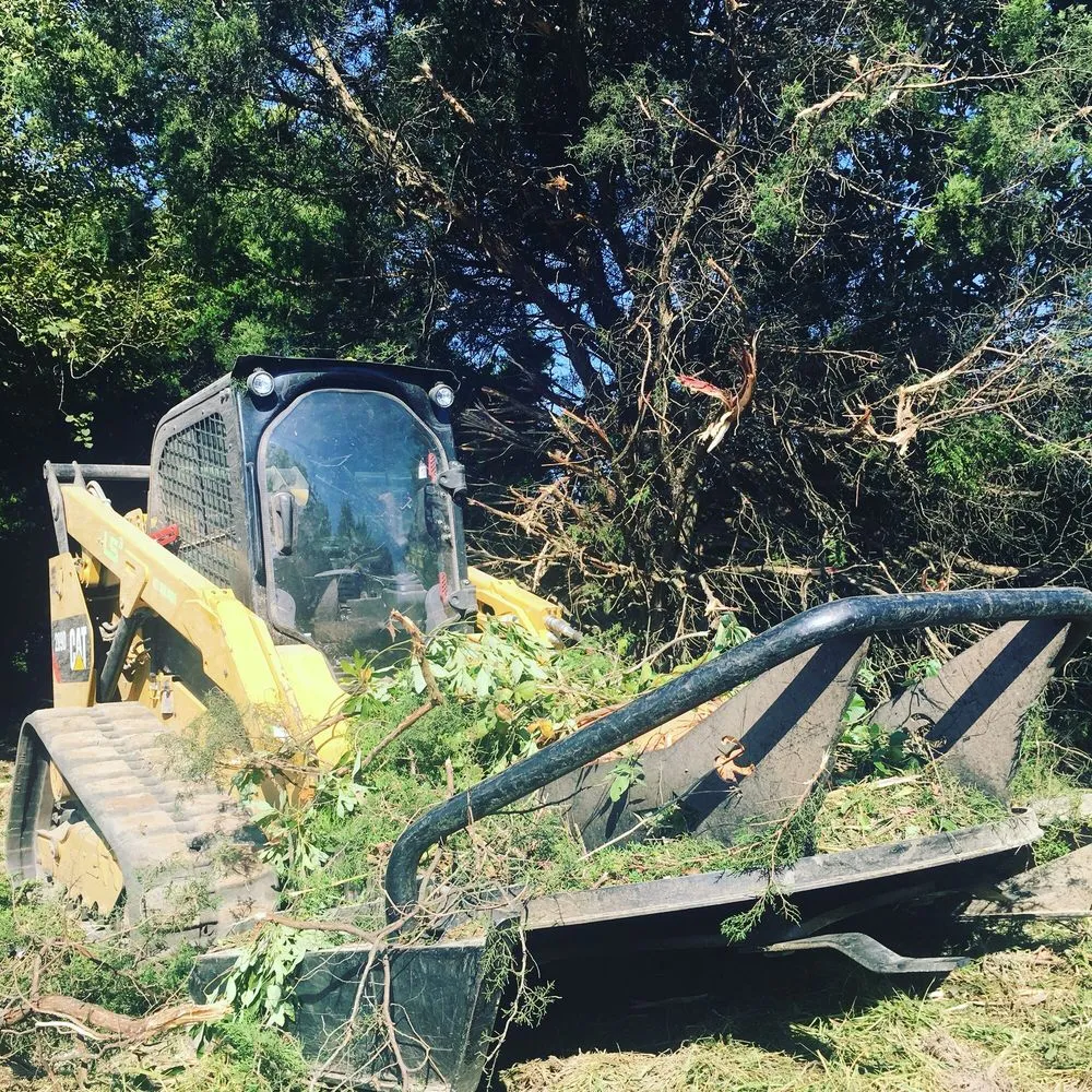 Trusted yard cleanup service in Mount Vernon, MO by Delta Property Management