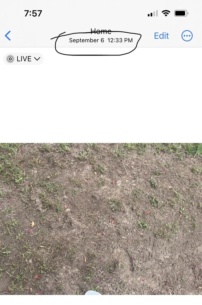 Custom lawn care service in New Orleans, LA - Delta Sod