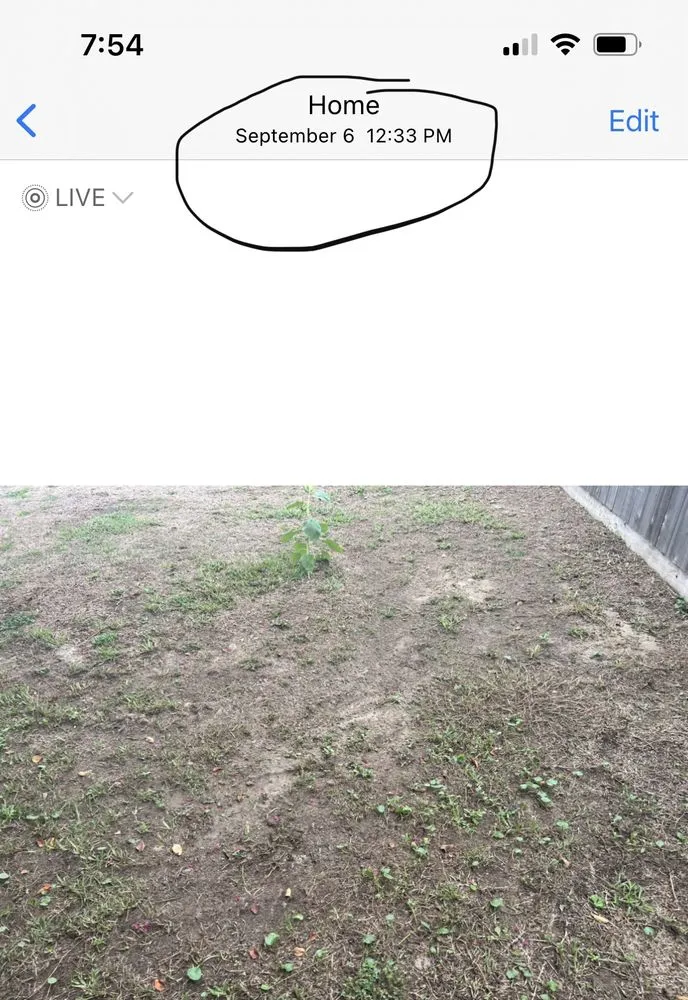 Local landscape installation experts serving New Orleans, LA - Delta Sod