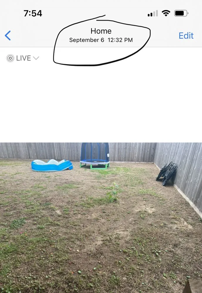 Reliable lawn care service with custom design in New Orleans, LA by Delta Sod