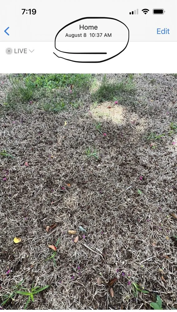 Reliable yard maintenance in New Orleans, LA by Delta Sod