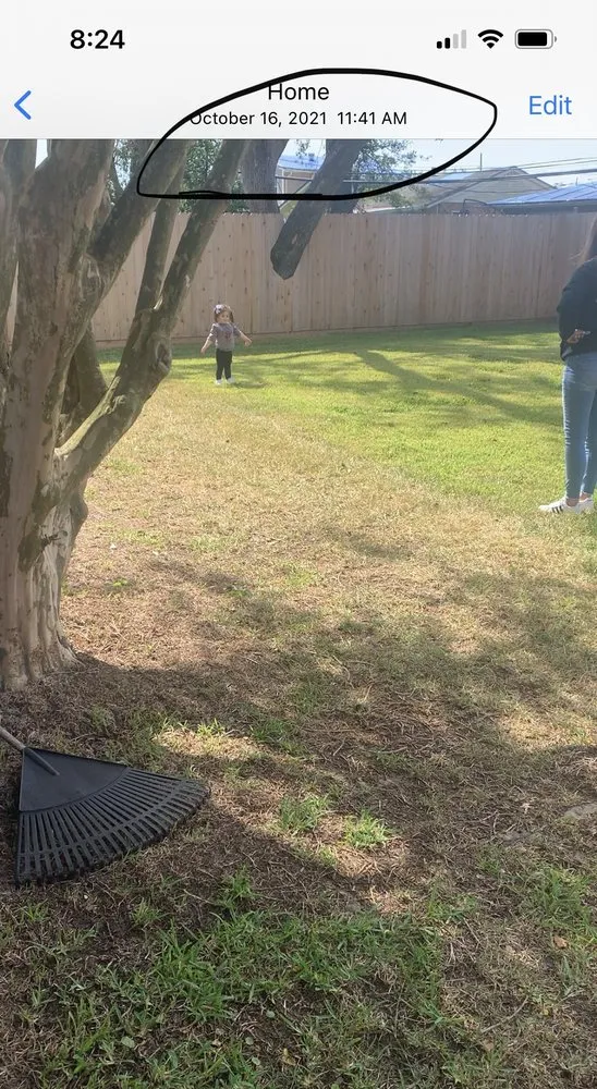 Local yard maintenance in New Orleans, LA by Delta Sod