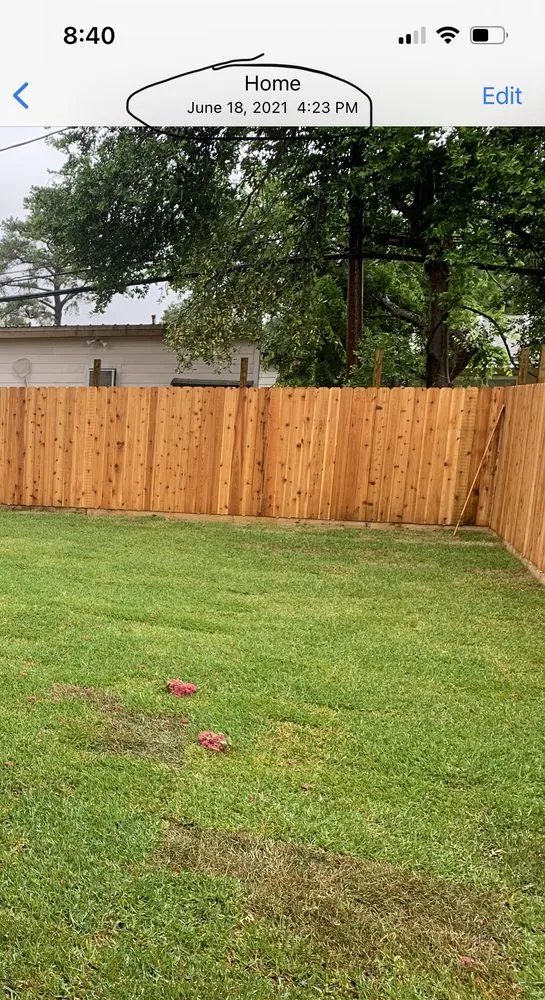 Expert landscaping services in New Orleans, LA by Delta Sod