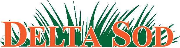 Custom landscaping services experts serving New Orleans, LA - Delta Sod