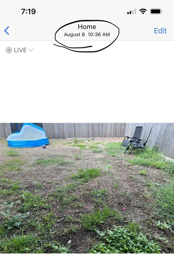 Trusted yard maintenance in New Orleans, LA - Delta Sod