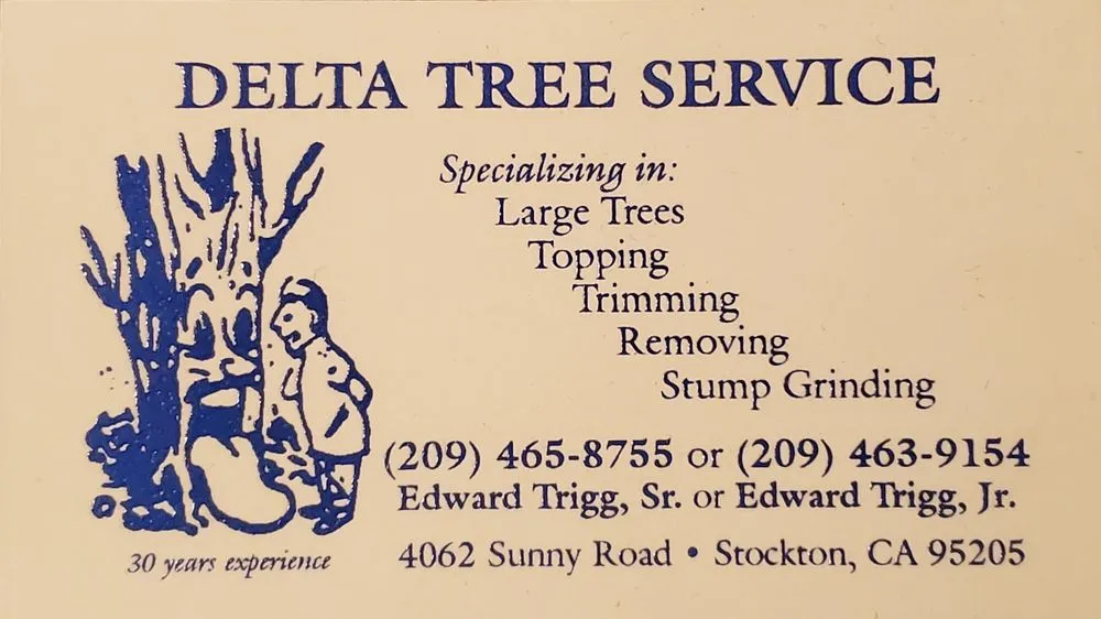 Expert yard maintenance experts serving Stockton, CA - Delta Tree Service