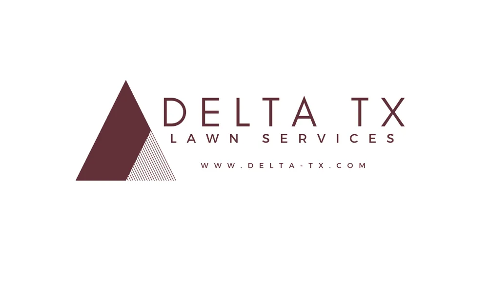 Trusted yard cleanup service experts serving Austin, TX - Delta TX Landscaping