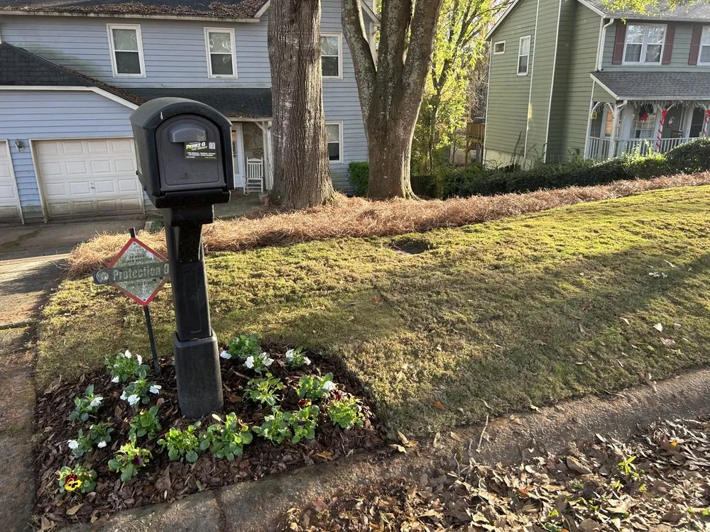 Expert yard cleanup service in Bethlehem, GA - DeltaScapes Landscape Group