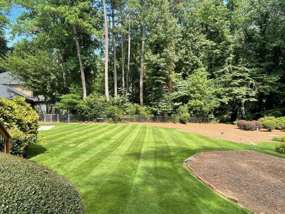 Professional yard cleanup service for year-round maintenance in Bethlehem, GA by DeltaScapes Landscape Group
