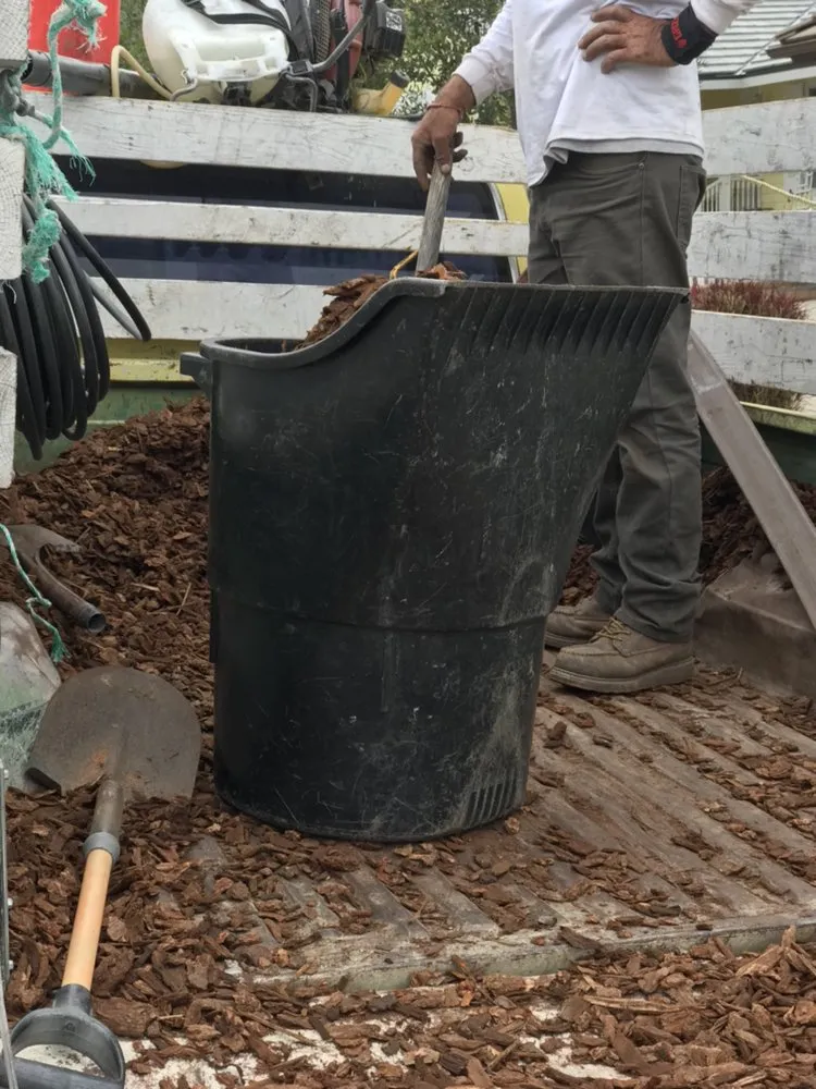 Reliable outdoor landscaping experts serving Ventura County, CA - Deltaz Finest