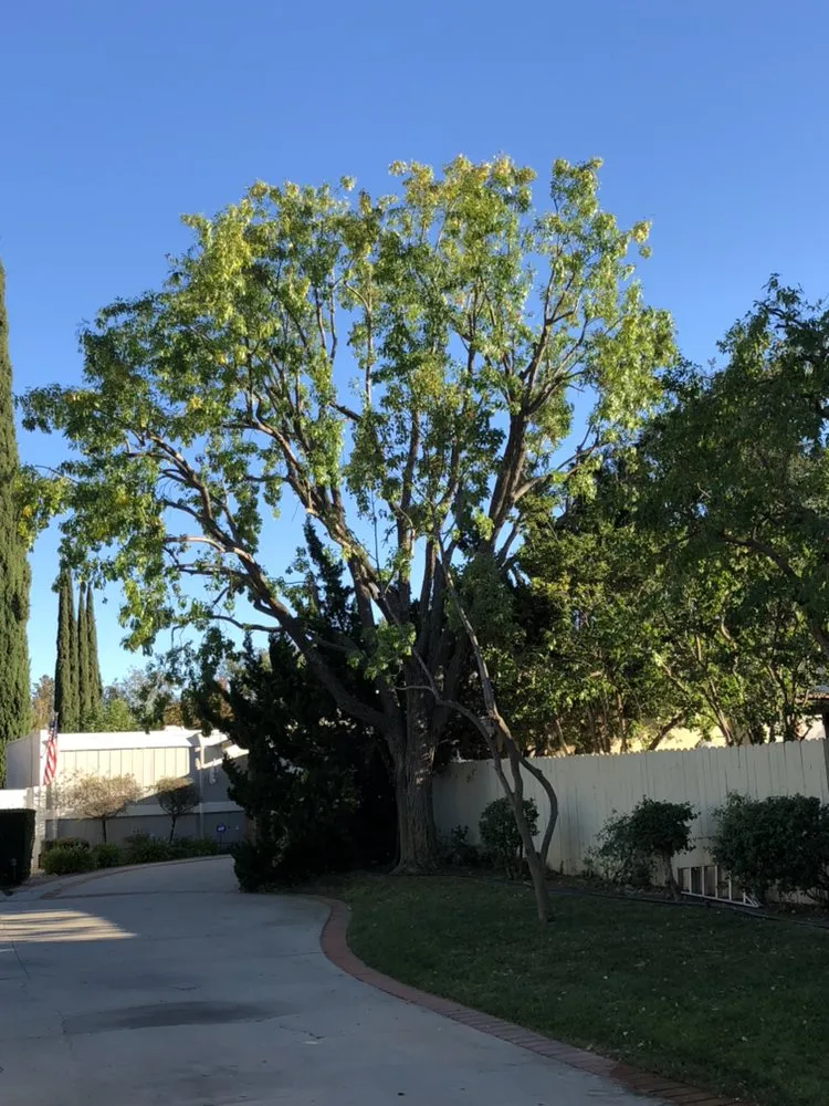 Top-rated garden landscaping in Ventura County, CA - Deltaz Finest