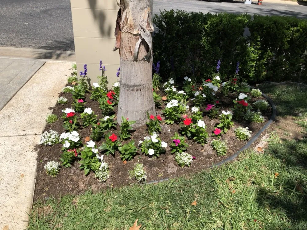 Reliable landscaping services for residential properties across Ventura County, CA - Deltaz Finest