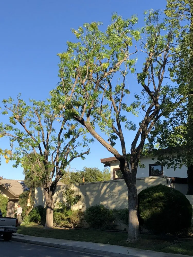 Local lawn mowing service for residential properties in Ventura County, CA by Deltaz Finest