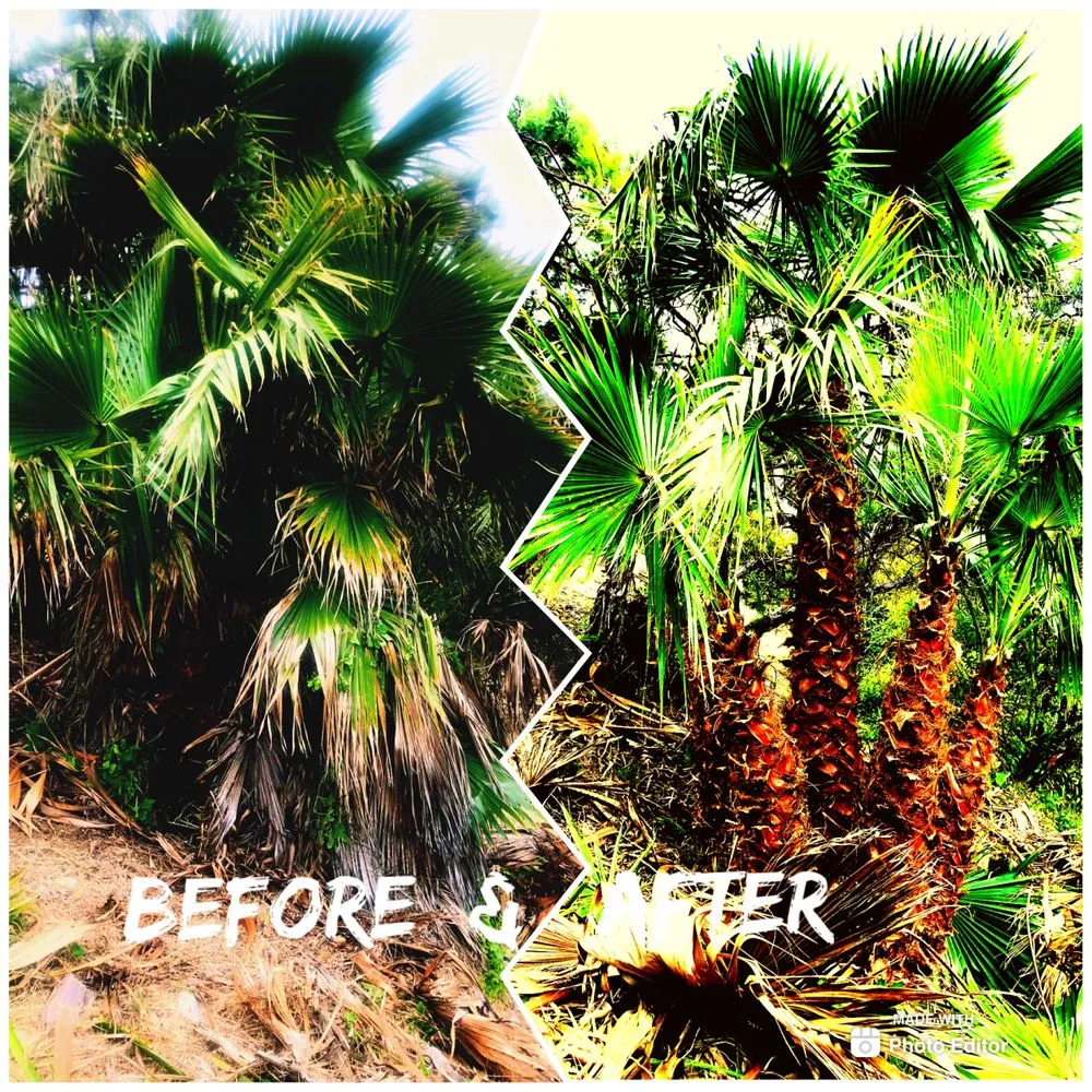 Local garden landscaping in Ventura County, CA - Deltaz Finest