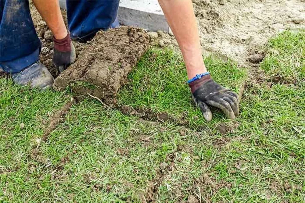 Expert lawn care service experts serving Shreveport, LA - Delton Services