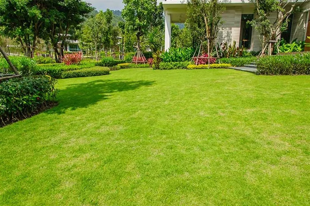 Custom landscape design for homes across Shreveport, LA - Delton Services