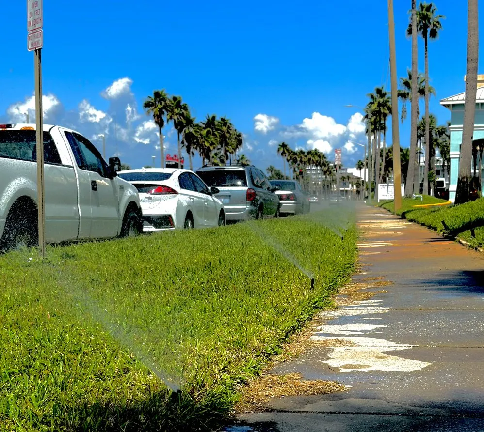 Trusted yard maintenance in Port Orange, FL by Delucia Irrigation