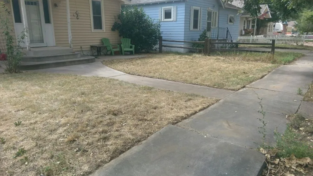 Expert yard maintenance experts serving Eaton, CO - Delucia Lawn Care