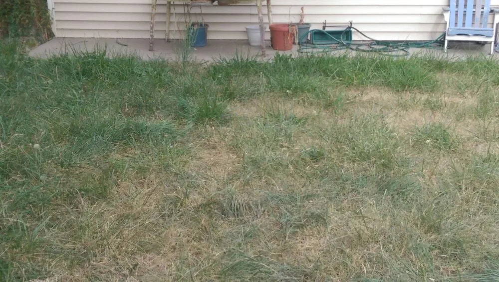 Top-rated lawn mowing service for outdoor upgrades across Eaton, CO - Delucia Lawn Care