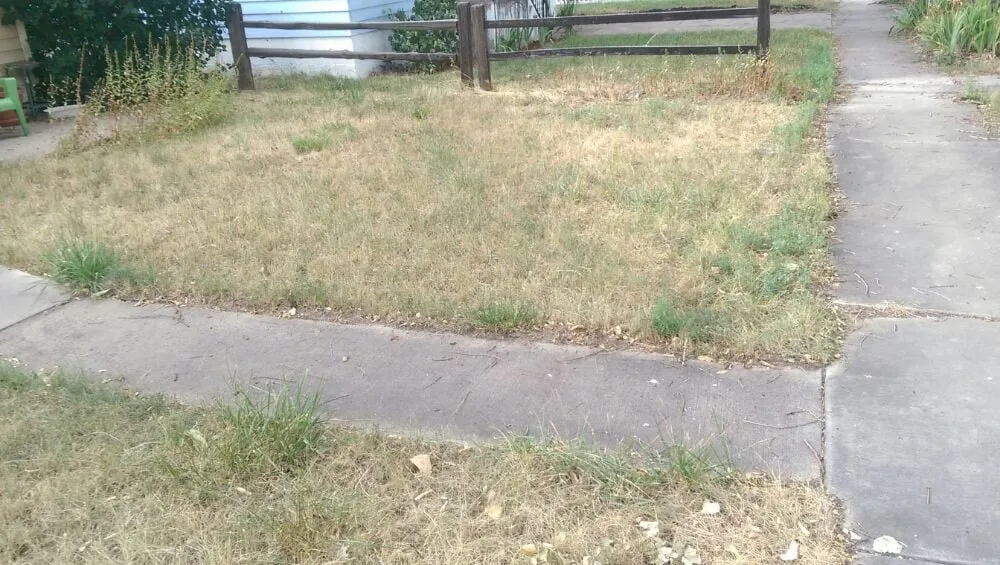 Custom garden landscaping experts serving Eaton, CO - Delucia Lawn Care